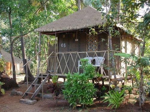 Coco Mountain Huts - Canacona - Goa Image