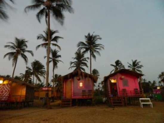 Paradise Beach Resort - Morjim - Goa Image