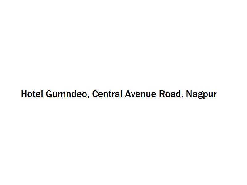 Hotel Gumndeo - Central Avenue Road - Nagpur Image