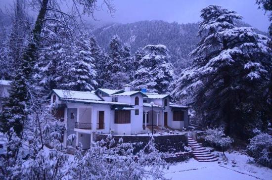 Deodar Lodge - Mallital - Nainital Image