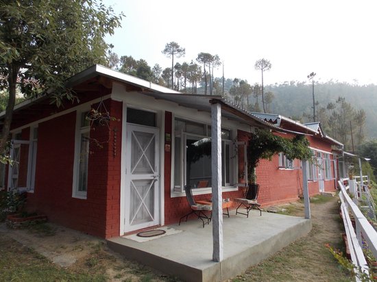 Ek Chidiya Cottage - Nathuakhan - Nainital Image