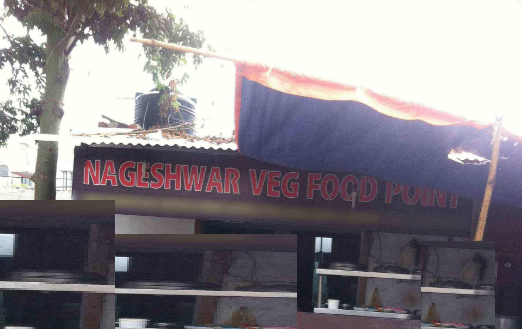 Nageshwar Veg Food Point - Aliganj - Lucknow Image