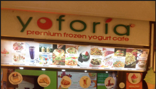 Yoforia Premium Frozen Yogurt Cafe - Gomti Nagar - Lucknow Image