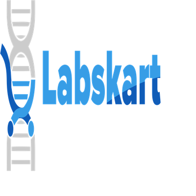 Labskart Image