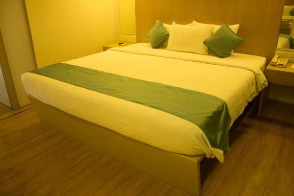 Super Saver 4 Star Hotel - MG Road - Delhi Image