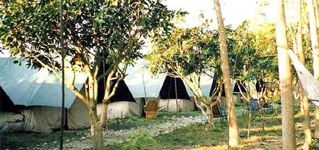 Camp Tusker - Ganga Bhogpur - Haridwar Image