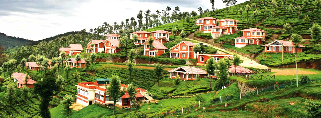 United 21 Paradise - Woodbrook - Ooty Image