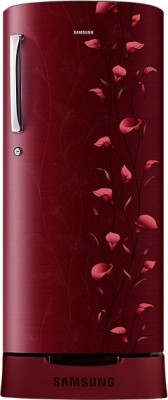 Samsung RR23J2835RZ-TL 230 L Single Door Refrigerator Image