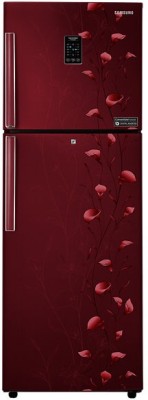 Samsung RT27JSMSARZ-TL 253 L Double Door Refrigerator Image