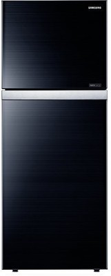 Samsung RT42HAUDEGL-TL 415 L Double Door Refrigerator Image