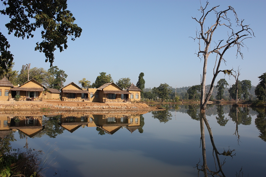 Tiger Lagoon - Tala - Bandhavgarh Image