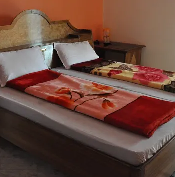 Hotel Divine Palace - Naini - Allahabad Image