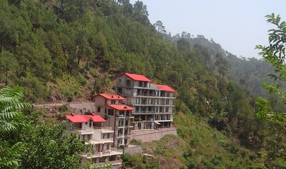 Whispering Pines Home Stay - Dharampur Image