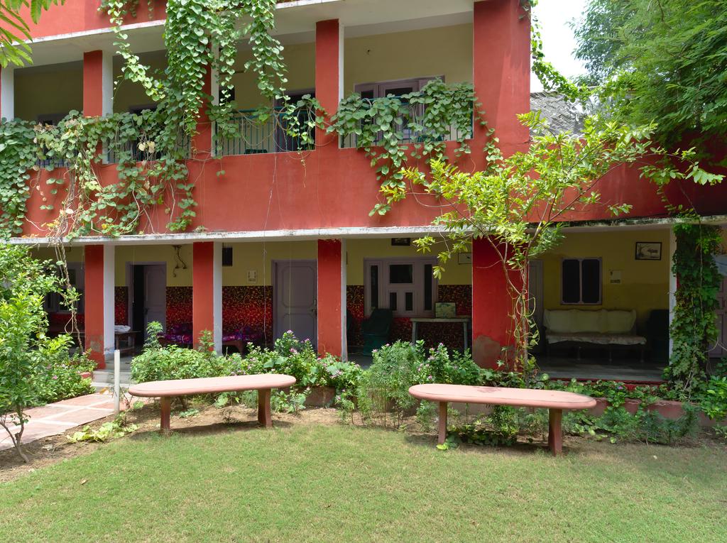 Jungle Lodge - Rajendra Nagar - Bharatpur Image