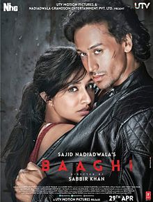 Baaghi (2016) Image