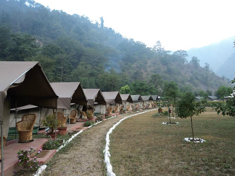 Himalayan Bear Stream Camp - Paliyal Gaon - Garhwal Image