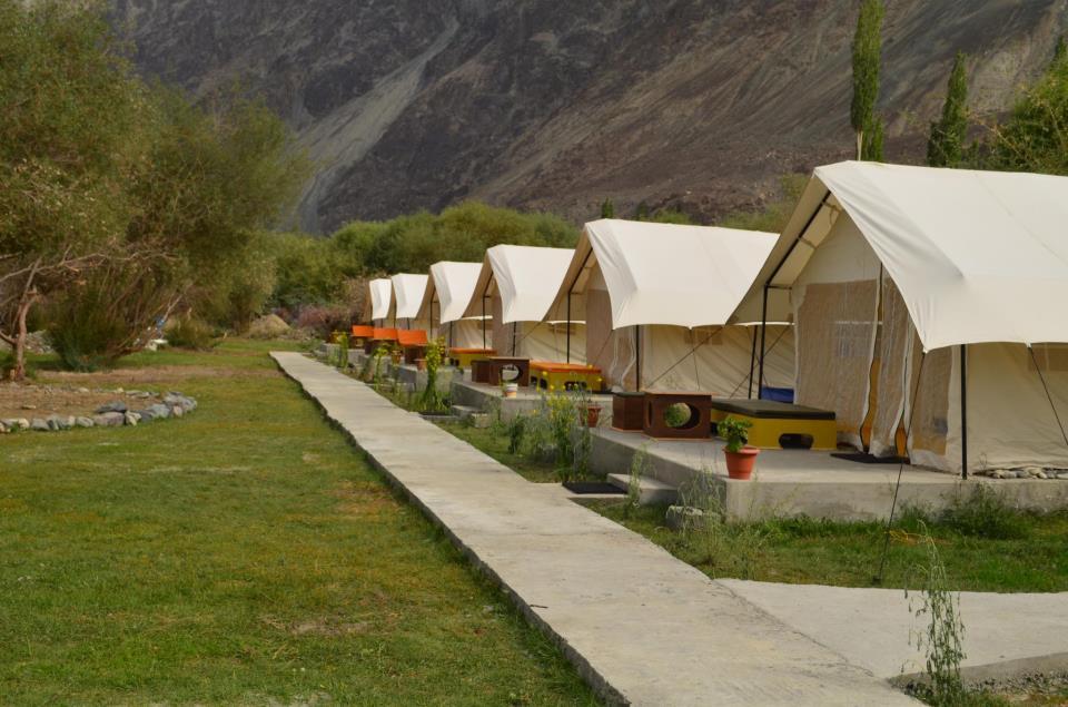 Desert Himalaya Camp - Diskit - Leh Image