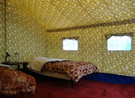 Double Humped Camp Hunder - Hunder - Leh Image