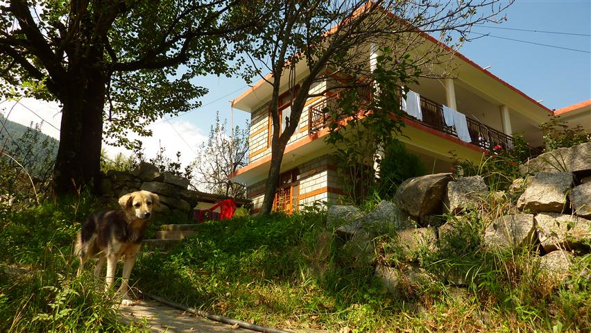 Eagle Guest House - Changspa Road - Leh Image