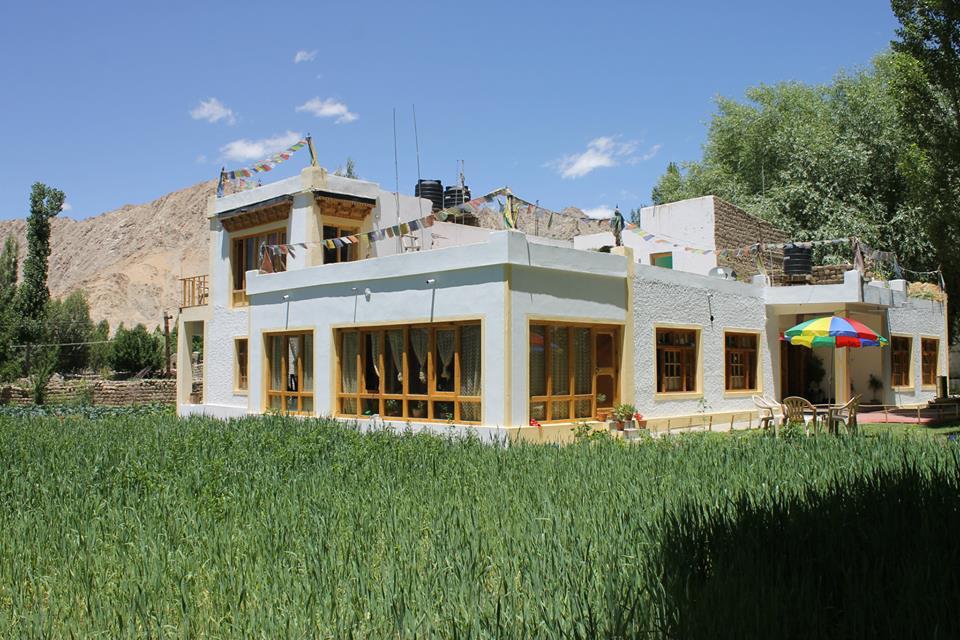 Green Villa Guest House - Chubi - Leh Image