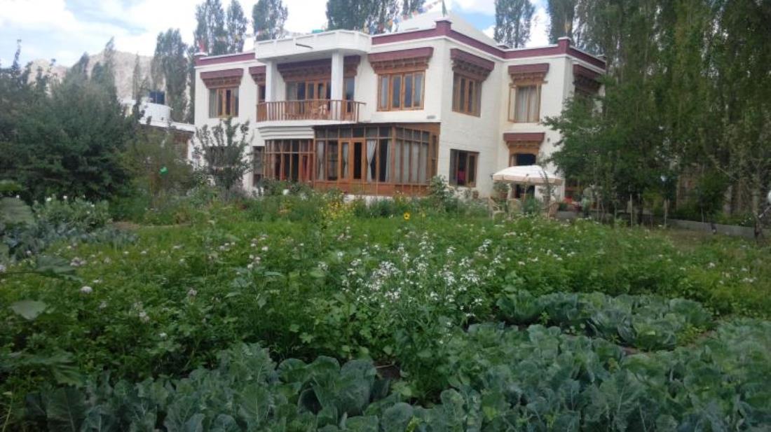 Niri la Ladakh Guest House - Chhubi Road - Leh Image