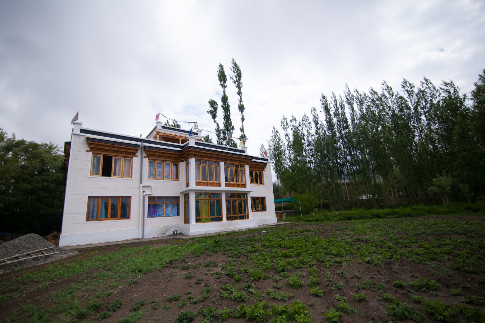 Raku Guest House - Upper Tukcha Road - Leh Image