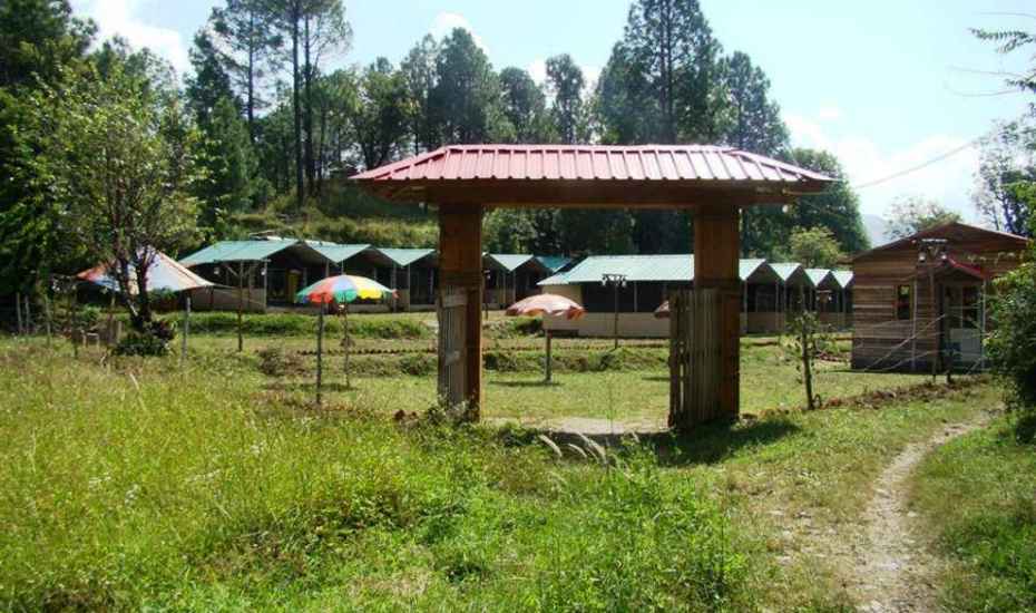 Camp Redwoods - Mehli Junga Road - Shimla Image