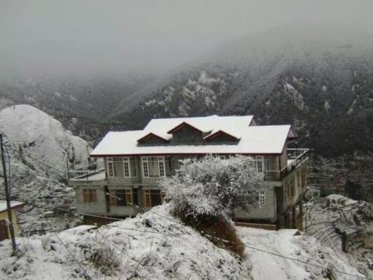 Forest Gaze at Misty Meadows East Home Stay - Bhattakufar - Shimla Image