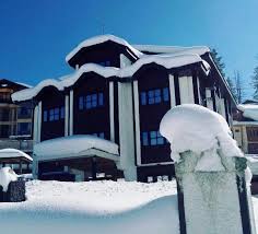 Gulmarg Inn - Gulmarg Image