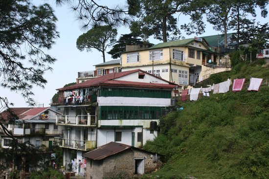 K K Trams - Jabli - Kasauli Image