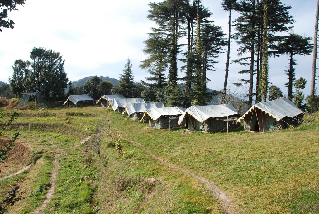 Kanatal Adventure Camp - Thangdhar - Mussoorie Image