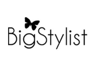 Bigstylist Image