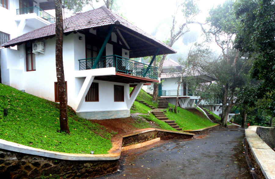 Forest Canopy - Chalimada - Thekkady Image