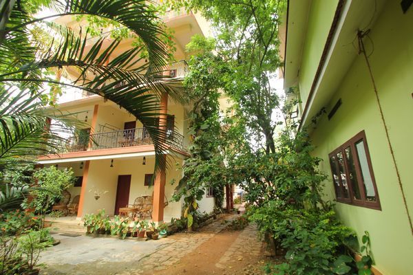 Green View Home Stay - Thekkady Road - Thekkady Image