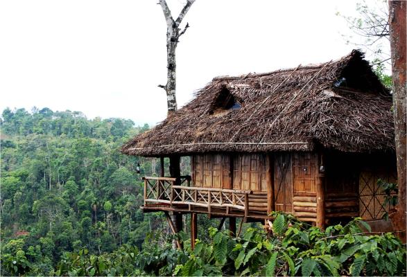 Aranyakam - Rippon - Kalpetta Image