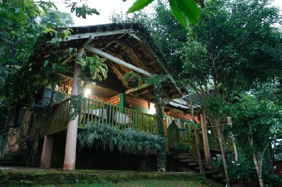 Buena Vista Hut Homestay - Pinangod - Kalpetta Image