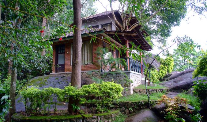 Edakkal Hermitage - Wayanad - Kalpetta Image
