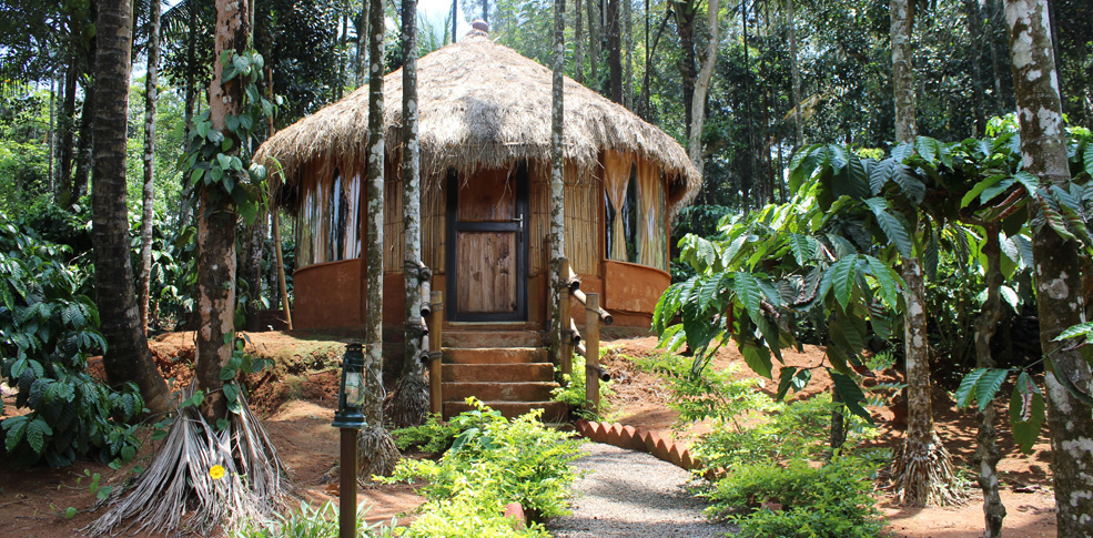 Greenex Farms - Chundale - Kalpetta Image