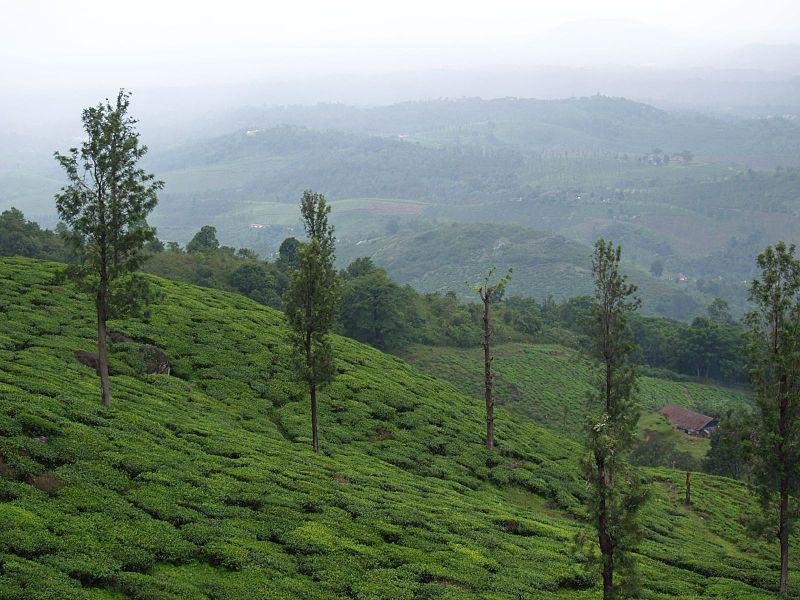Kochuparambi - Meppadi - Kalpetta Image