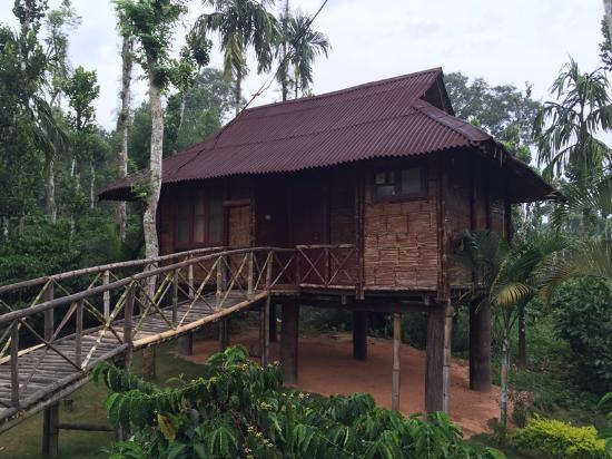 The Treasure Trove Home Stay - Meenangadi - Kalpetta Image