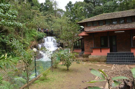 Wyldwater - Wayanad - Kalpetta Image
