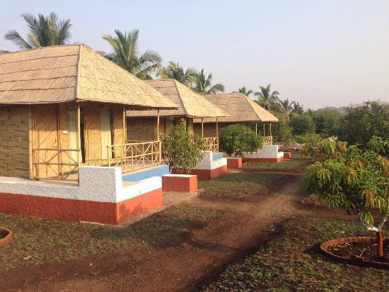 Glorious Gir Resort - Bhojde - Junagadh Image