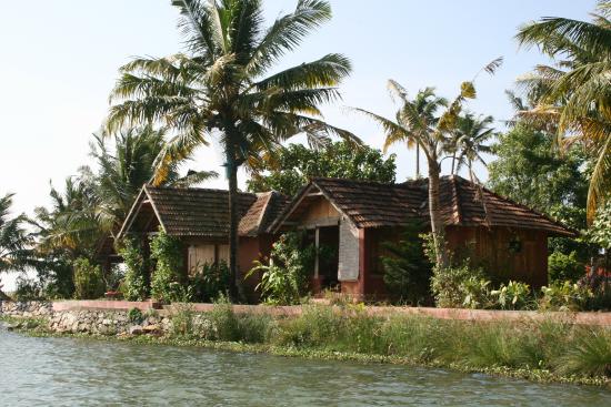Ayushkamy Ayurveda and Yoga Retreat - Mayyanad - Kollam Image