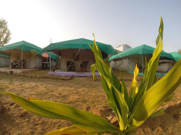 Pushkar Village Camp Resort - Panch Kund Road - Pushkar Image