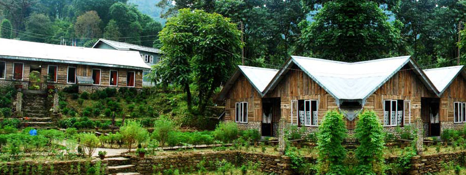 Cherry Village Homestay Resort - Darap - Pelling Image