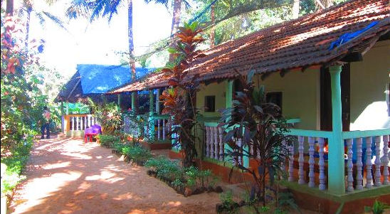 Nirvana - Om Beach Road - Gokarna Image