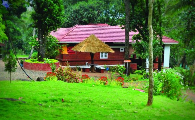 Tree Top Resort - Mukkali - Palakkad Image