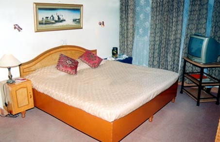 Yogesh Hotel - Baddi - Solan Image