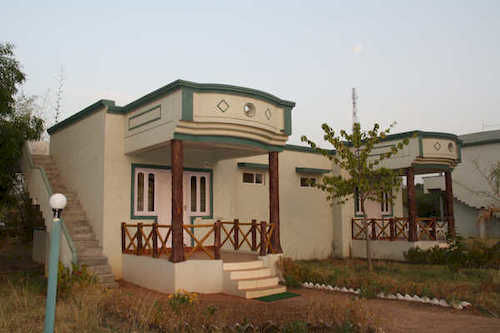 United21 Tigers Habitat - Mocha - Mandla Image