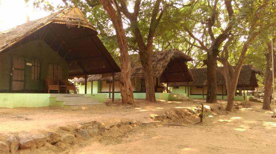 Jungle Lodges Bheemeshwari Nature & Adventure Camp - Bheemeshwari - Mandya Image